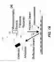 Fig. 08 - Sub-millimeter real-time circular dichroism spectrometer with metasurfaces