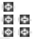 Fig. 10 - System and methods estimation of mechanical properties and size of light-scattering particles in materials