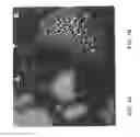 Fig. 02 - SCREENING ASSAYS FOR IDENTIFYING DIFFERENTIATION-INDUCING AGENTS AND PRODUCTION OF DIFFERENTIATED CELLS FOR CELL THERAPY