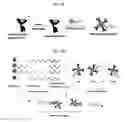 Fig. 04 - Compositions and methods for screening T cells with antigens for specific populations