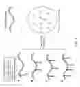 Fig. 06 - Encoded chromophoric polymer particles and methods of use thereof