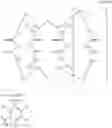 Fig. 44 - Encoded chromophoric polymer particles and methods of use thereof