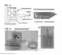 Fig. 02 - Methods and systems for diagnosing diseases