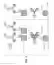 Fig. 02 - SPR-BASED BRIDGING ASSAY FORMAT FOR DETERMINING THE BIOLOGICAL ACTIVITY OF MULTIVALENT, MULTISPECIFIC MOLECULES