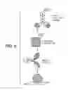 Fig. 09 - SPR-BASED BRIDGING ASSAY FORMAT FOR DETERMINING THE BIOLOGICAL ACTIVITY OF MULTIVALENT, MULTISPECIFIC MOLECULES