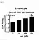 Fig. 34 - METHOD TO PREDICT RESPONSE TO PHARMACOLOGICAL CHAPERONE TREATMENT OF DISEASES