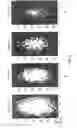 Fig. 08 - SYSTEM AND METHOD FOR FREE RADICAL IMAGING