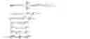 Fig. 02 - Parallel technique for computing problem functions in solving optimal power flow