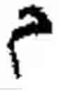 Fig. 237 - Input device for arabic letters