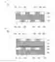 Fig. 02 - Transparent conductive laminates and touch panels having transparent conductive laminates