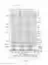 Fig. 05 - Regular via pattern for sensor-based input device