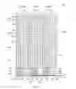 Fig. 09 - Regular via pattern for sensor-based input device