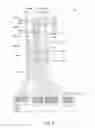 Fig. 07 - Arrangement of sensor pads and display driver pads for input device