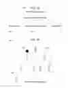 Fig. 02 - Natural language interpretation of hierarchical data