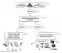 Fig. 01 - DISTRIBUTED SCALABLE POLICY BASED CONTENT MANAGEMENT