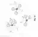 Fig. 16 - Structure-based entity analysis