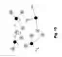 Fig. 18 - Structure-based entity analysis