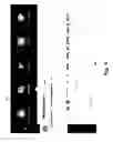 Fig. 05 - Deep linking to application objects