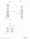 Fig. 13 - ESTABLISHMENT OF STATE REPRESENTATION OF A WEB PAGE REPRESENTED IN A WEB BROWSER