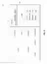 Fig. 05 - Navigating a website using visual analytics and a dynamic data source