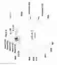 Fig. 03 - Multi-targeting short interfering RNAs