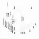 Fig. 05 - Multi-targeting short interfering RNAs