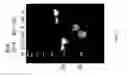 Fig. 13 - Multi-targeting short interfering RNAs