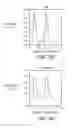 Fig. 09 - SYSTEM AND METHOD FOR SPARSE PRESSURE/FLOWRATE REDUCED MODELING OF HEMODYNAMICS