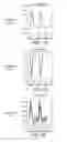 Fig. 11 - SYSTEM AND METHOD FOR SPARSE PRESSURE/FLOWRATE REDUCED MODELING OF HEMODYNAMICS