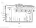 Fig. 21 - Methods and apparatus for identification of polymeric species from mass spectrometry output
