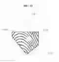 Fig. 13 - Fingerprint recognition method and apparatus