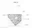 Fig. 14 - Fingerprint recognition method and apparatus