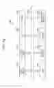 Fig. 11 - Determination device, determination method, and non-transitory storage medium