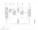 Fig. 02 - Genetic method for the tracking of time varying signals