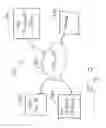 Fig. 10 - SYSTEMS, APPARATUS AND METHODS FOR GENERATING AND DISPLAYING A SCHEDULE IMPACT MAP