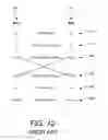 Fig. 11 - Electronic authentication systems