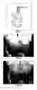 Fig. 02 - Detection of hygiene compliance
