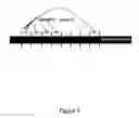 Fig. 06 - Method and apparatus for identifying a split lane traffic location