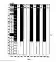 Fig. 06 - Piano keyboard with key touch point detection