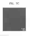 Fig. 07 - Method for healing defect of conductive layer, method for forming metal-carbon compound layer, 2D nano materials, transparent electrode and method for manufacturing the same