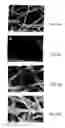 Fig. 07 - Method of producing dye-sensitized solar cell and an electrode of a dye-sensitized solar cell