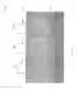 Fig. 09 - Semiconductor Devices and Method for Forming Semiconductor Devices