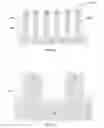 Fig. 08 - Low end parasitic capacitance FinFET