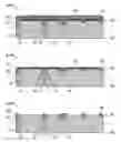 Fig. 01 - SEMICONDUCTOR DEVICE AND METHOD OF MANUFACTURING THE SAME