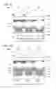 Fig. 04 - Light-emitting device, electronic device, and lighting device