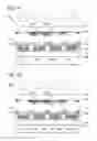 Fig. 09 - Light-emitting device, electronic device, and lighting device