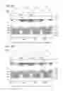 Fig. 10 - Light-emitting device, electronic device, and lighting device