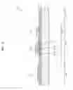 Fig. 09 - Transparent display apparatus