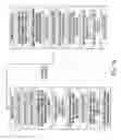 Fig. 22 - PATTERNING OF SILICON OXIDE LAYERS USING PULSED LASER ABLATION