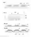 Fig. 06 - Method of manufacturing light emitting device including light emitting element having lateral surface covered with cover member